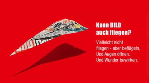 BILD Media  Impact