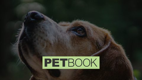 PETBOOK Media Kit